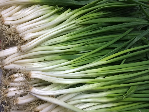 運銷報導內容相關附件