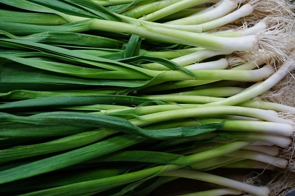 運銷報導內容相關附件