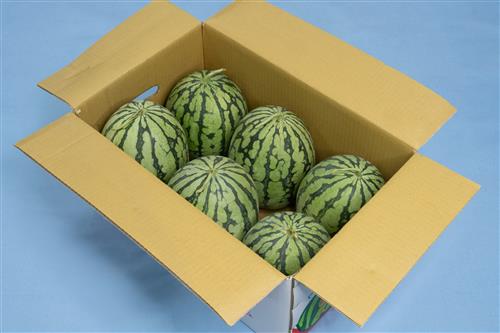 開箱示意圖