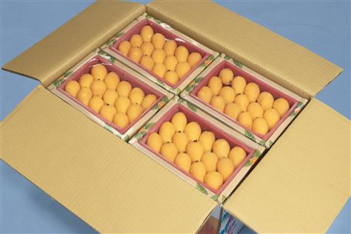 開箱示意圖