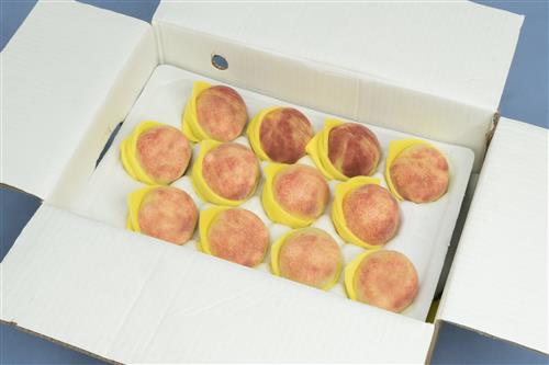 開箱示意圖