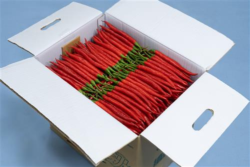 開箱示意圖