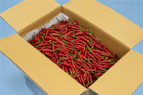 開箱示意圖