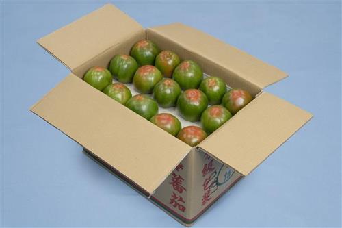 開箱示意圖