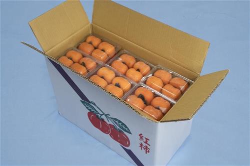 開箱示意圖