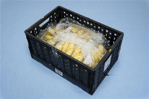 展開示意圖