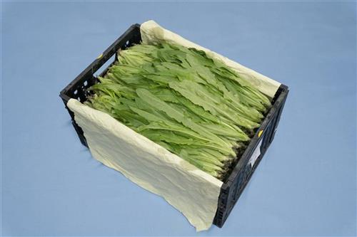 展開示意圖