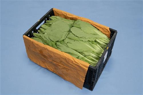展開示意圖