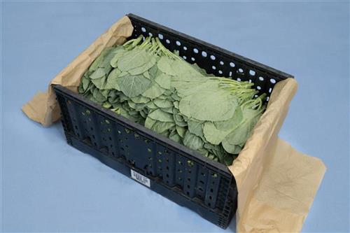 展開示意圖