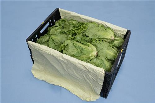 展開示意圖
