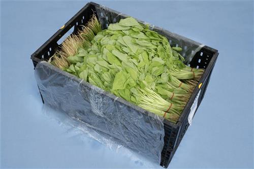 展開示意圖