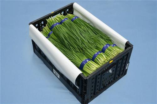 展開示意圖