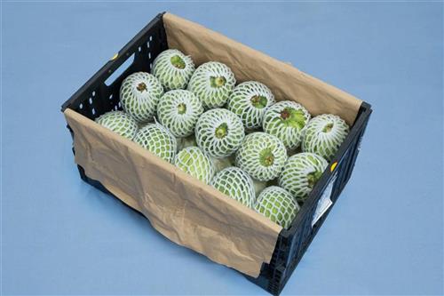 展開示意圖