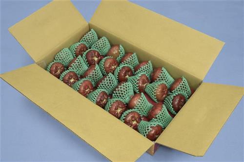 開箱示意圖