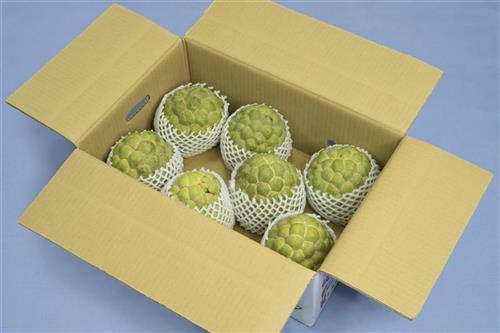 開箱示意圖