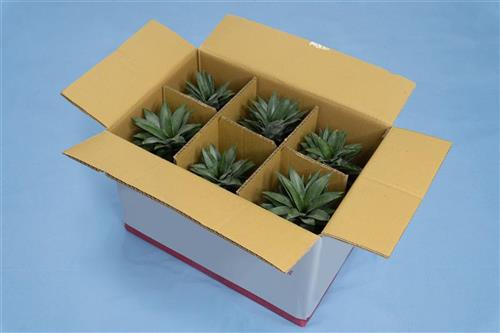 開箱示意圖