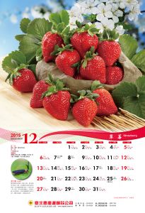 201512月草莓-01