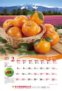 20152月柑橘-01