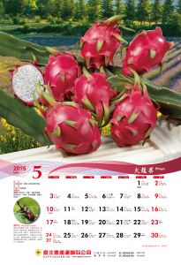 20155月火籠果-01