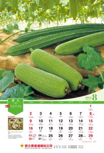 20158月絲瓜-01