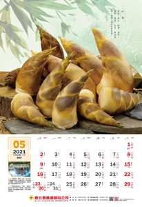 5月
