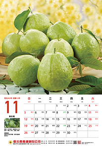 11月