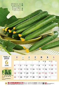 6月