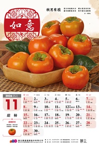 11月